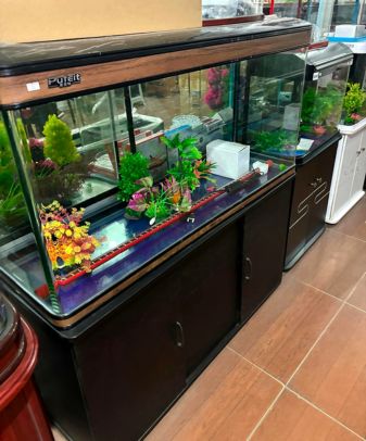 Fish Sale Purchase